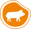 tp50o5