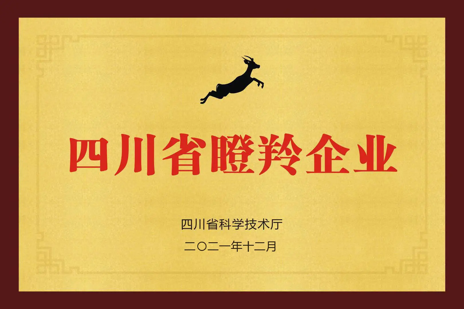 瞪羚企业-副本